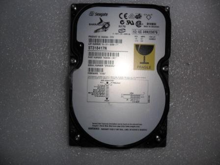 Seagate ST318417N